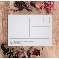 Post cards Pack 1 (1 free)